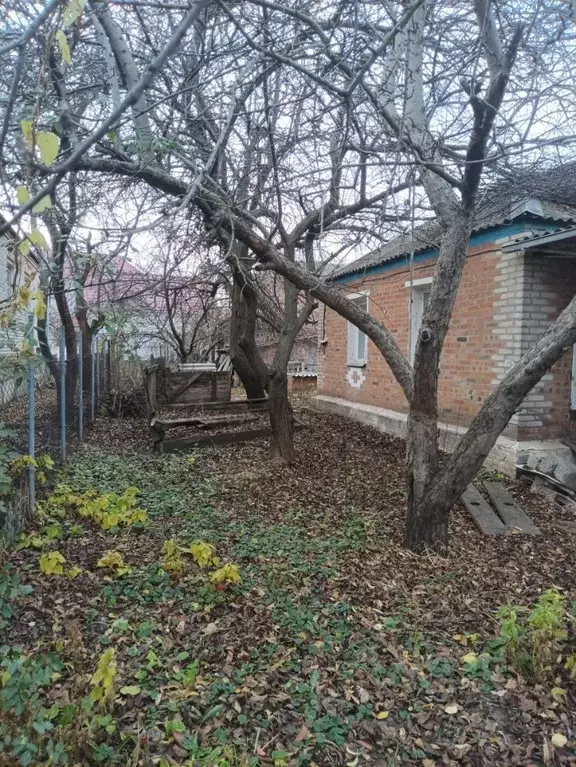 Дом в Ростовская область, Волгодонск Главная ул., 38 (65 м) - Фото 2