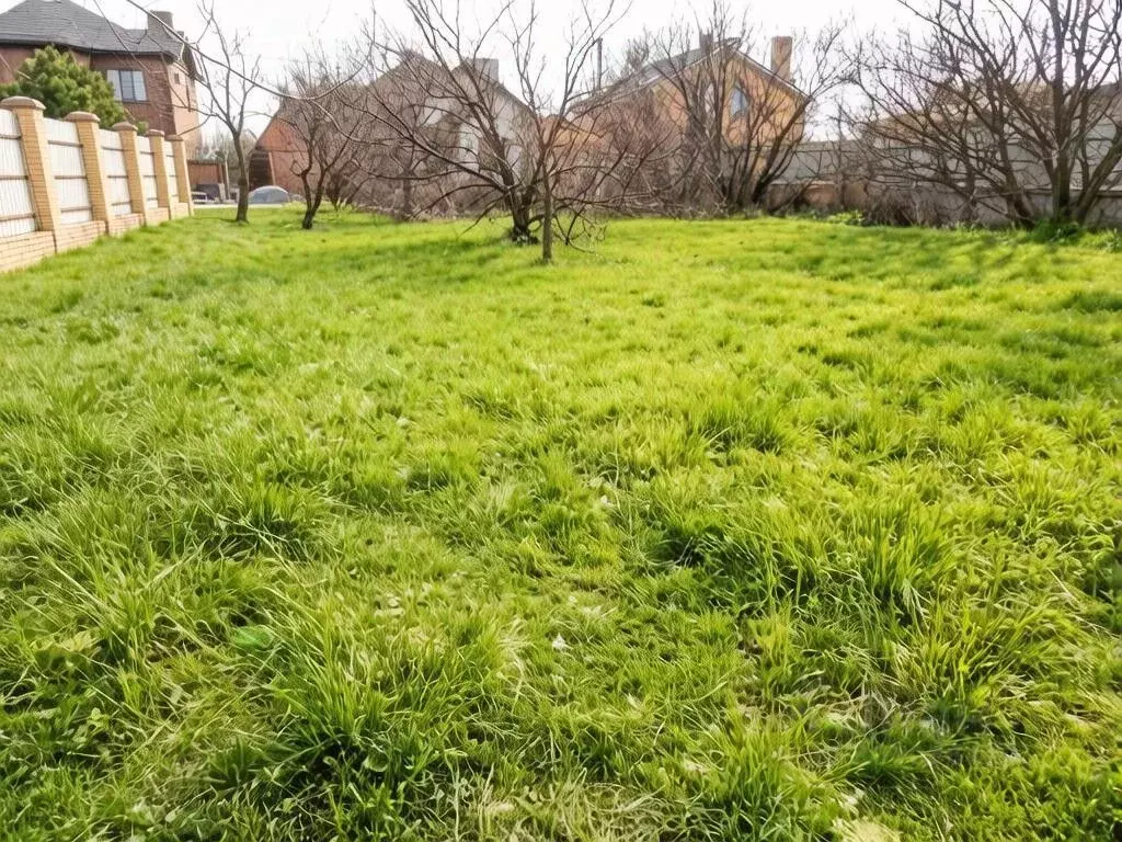 Участок в Ростовская область, Таганрог ул. Фаины Раневской (6.0 сот.) - Фото 2
