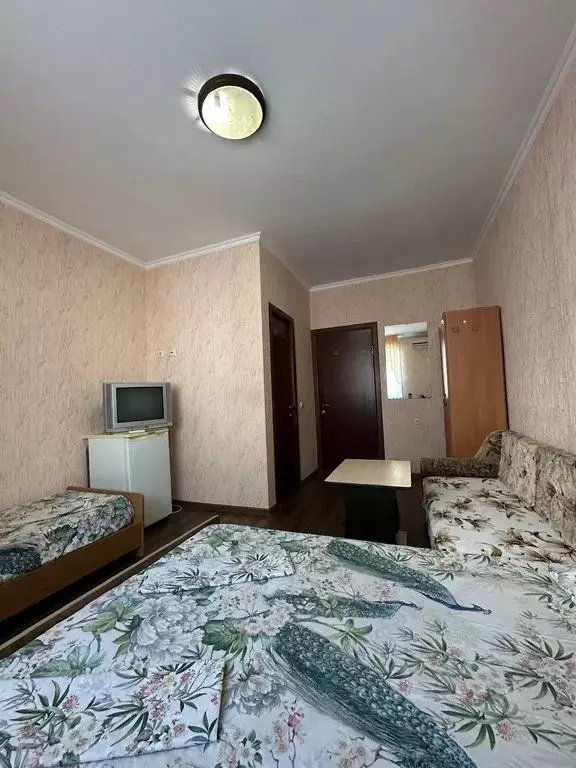 Комната Краснодарский край, Сочи Лазаревское жилрайон, ул. Кольцевая, ... - Фото 1
