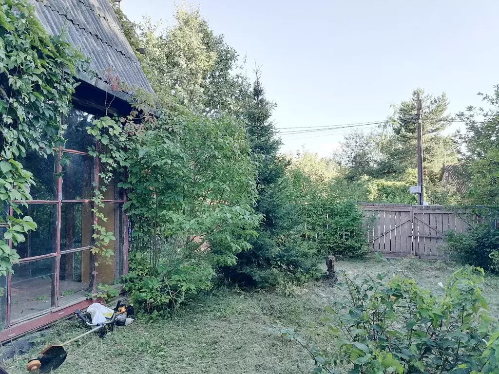 Продается участок в СНТ Лесное - Фото 1