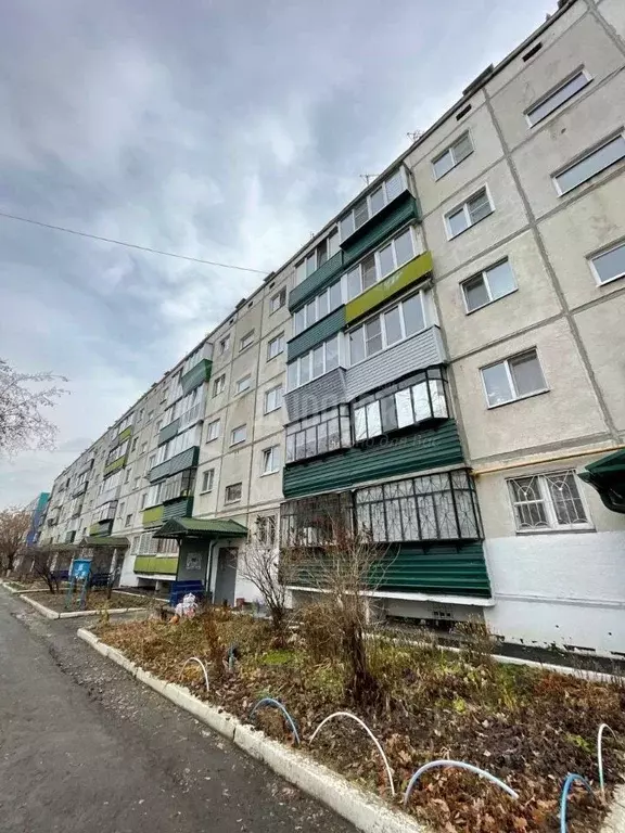 2-к кв. Курганская область, Курган ул. Черняховского, 4 (44.5 м) - Фото 1