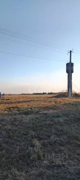 Дом в Белгородская область, Новооскольский муниципальный округ, ... - Фото 1