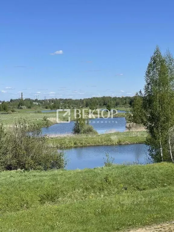 Дом в Костромская область, Костромской район, Шунгенское с/пос, ... - Фото 1