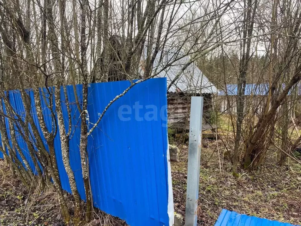 Участок в Коми, Сыктывдинский район, Лэзым муниципальное образование, ... - Фото 1