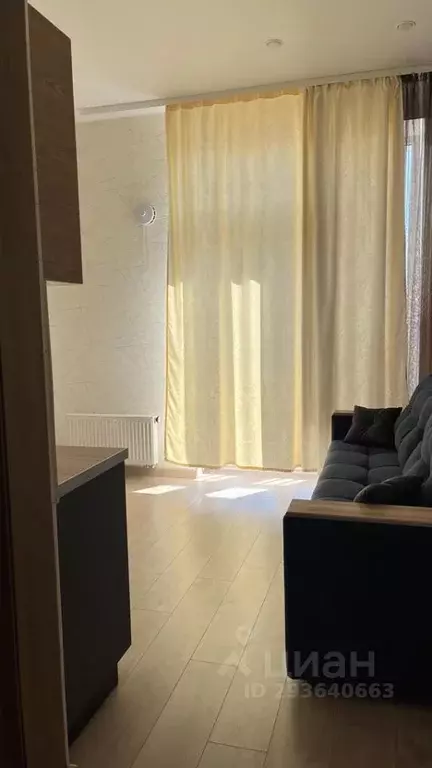 Студия Новосибирская область, Новосибирск ул. Гоголя, 209 (22.0 м) - Фото 1