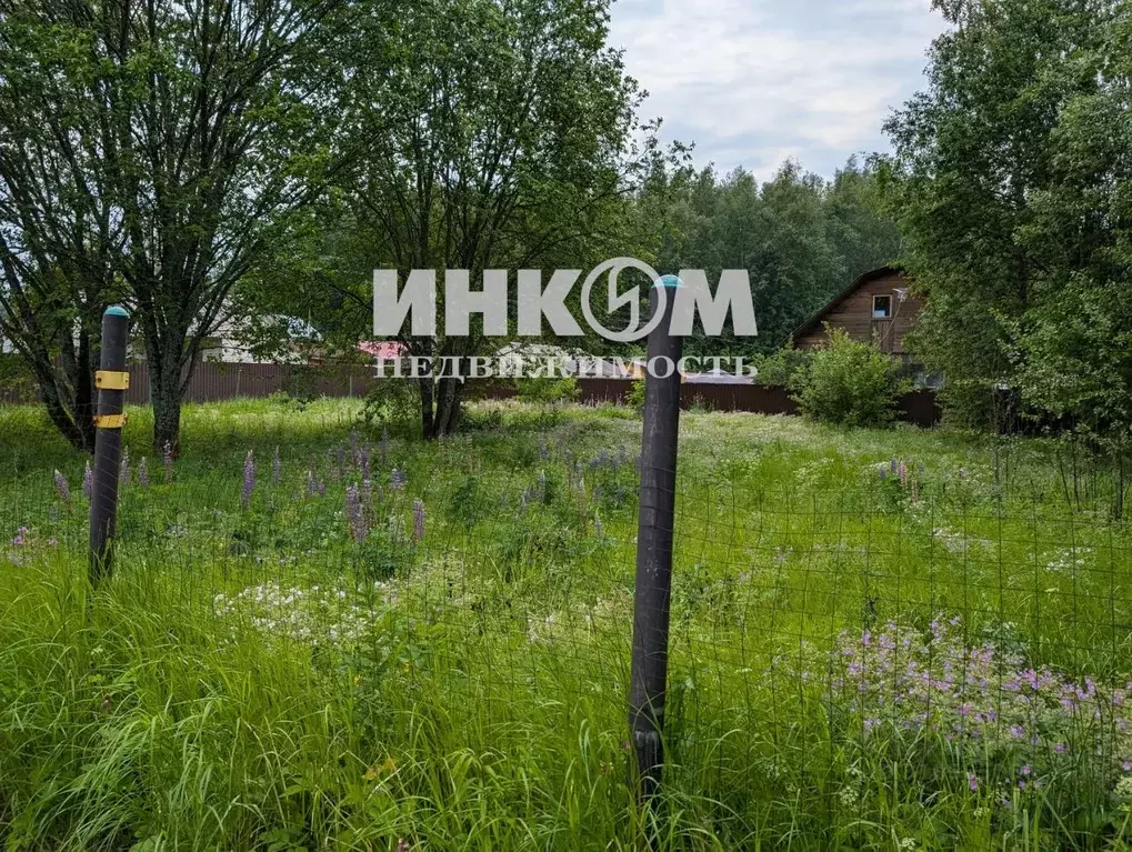 Участок в Москва Рубин СНТ, 51 (6.0 сот.) - Фото 1