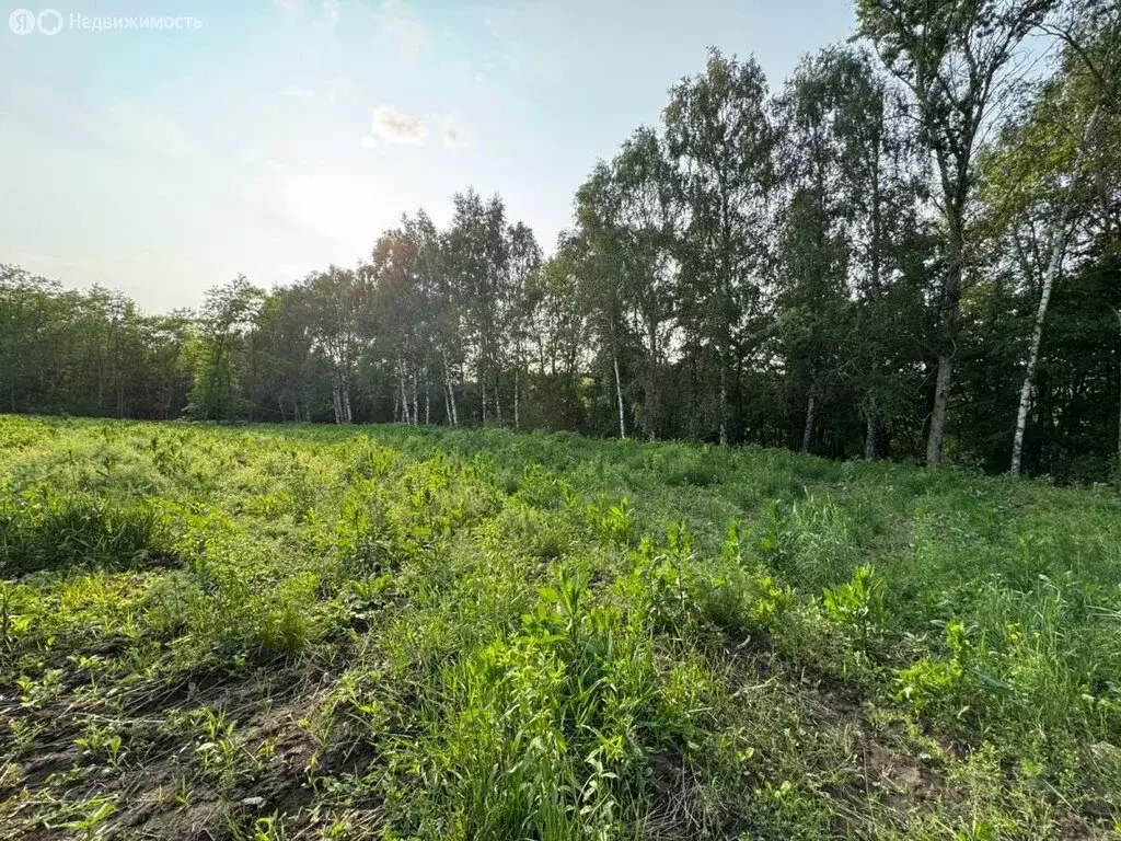 Участок в Курский район, Нижнемедведицкий сельсовет, деревня Хмелевая ... - Фото 1