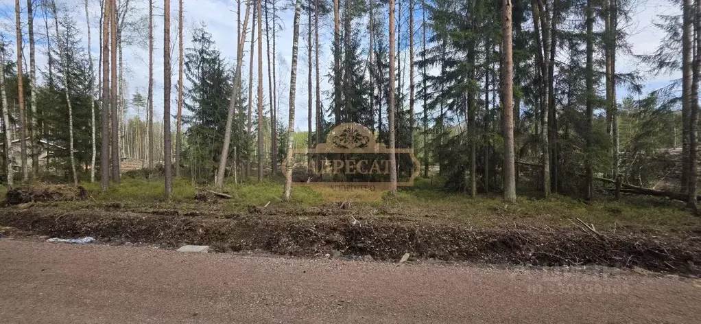Участок в Ленинградская область, Всеволожский район, Бугровское ... - Фото 1