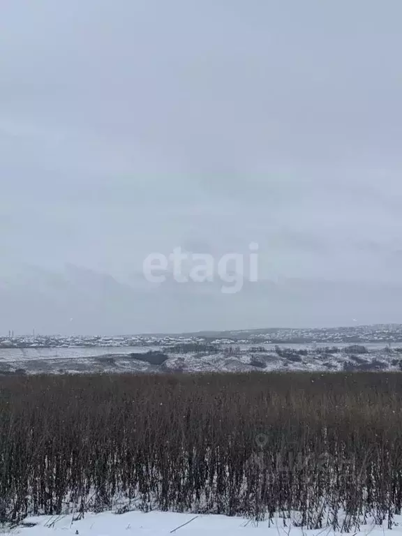 Участок в Белгородская область, Белгородский район, Головинское с/пос, ... - Фото 1