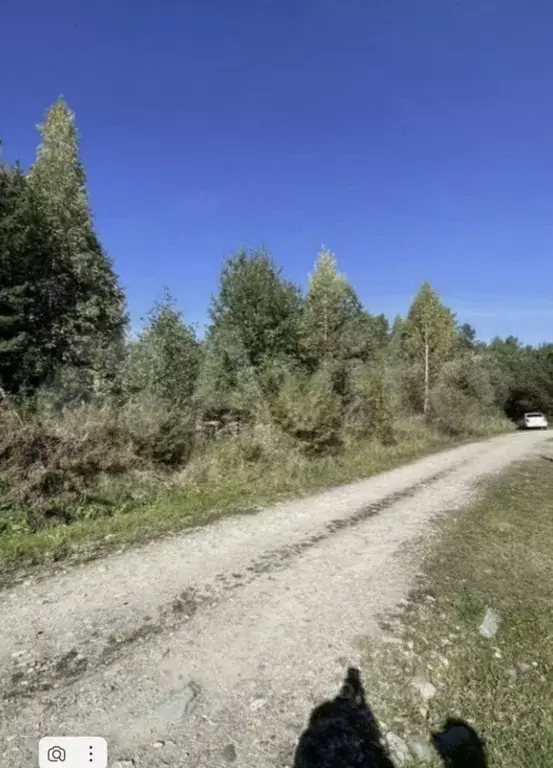 Участок в Свердловская область, Кировград Лесная ул. (12.0 сот.) - Фото 0