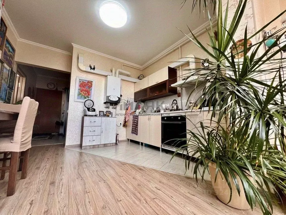 1-к кв. Краснодарский край, Анапа Алексеевка мкр, ул. Лазурная, 16 ... - Фото 1