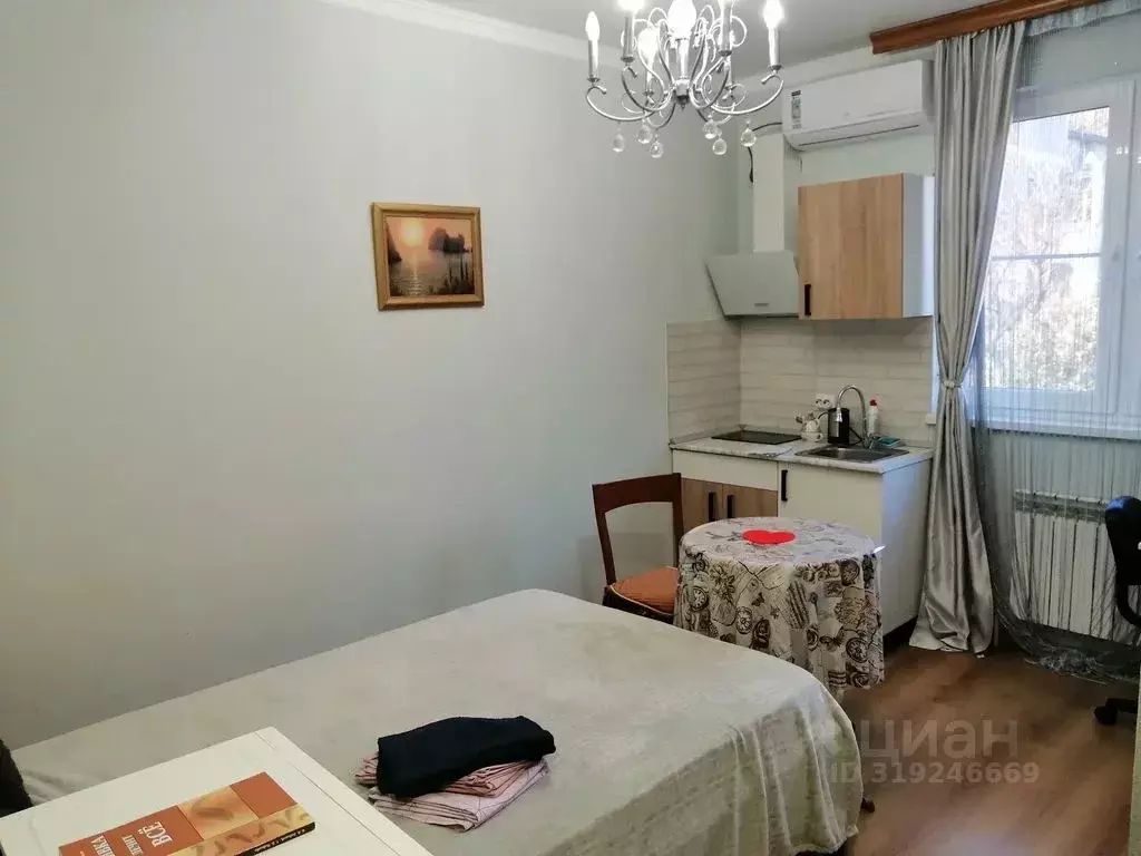 1-к кв. Краснодарский край, Сочи городской округ, с. Верхневеселое ул. ... - Фото 0