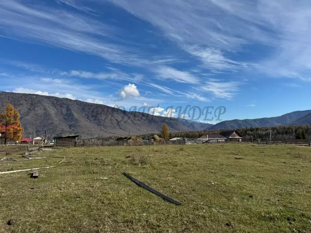 Участок в Алтай, Усть-Коксинский район, пос. Тюгурюк ул. Лесная (20.0 ... - Фото 1