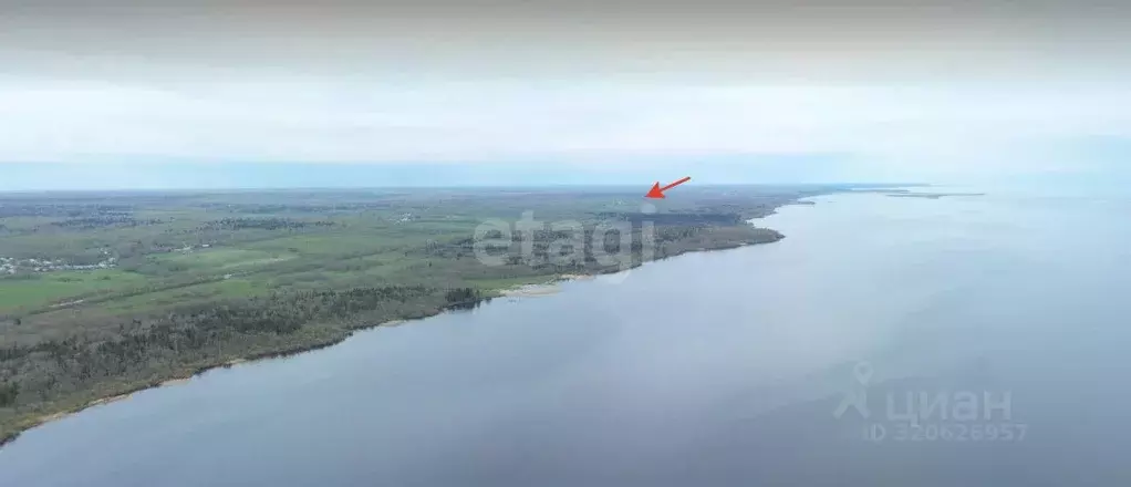 Участок в Вологодская область, Череповецкий район, Мяксинское ... - Фото 1