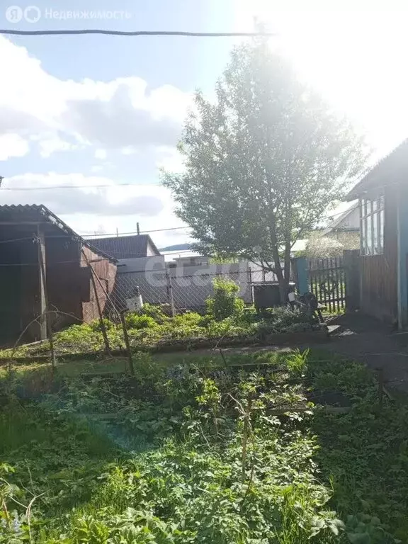 Дом в село Алтайское, улица Карла Маркса (60.3 м) - Фото 2