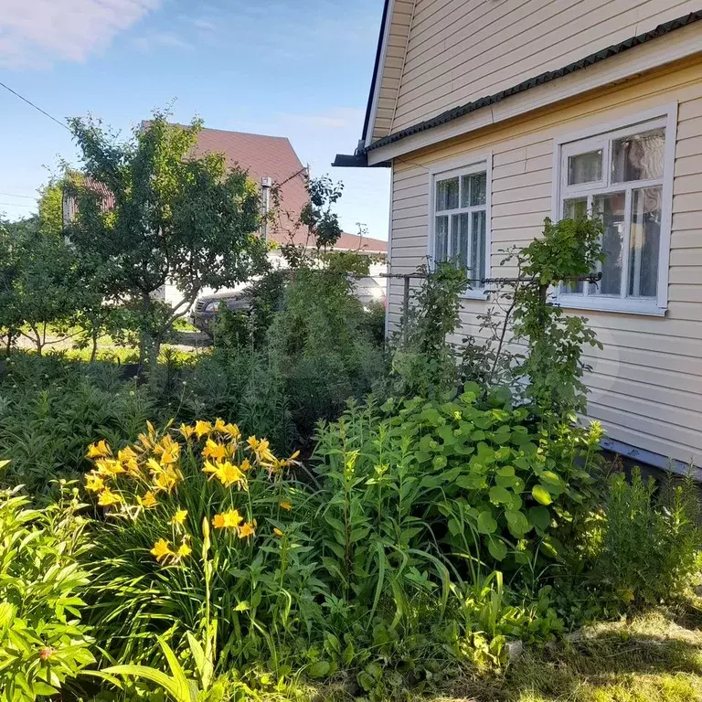 Дача 37,1 м на участке 5,6 сот. - Фото 1