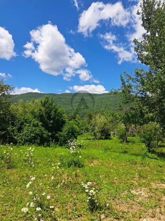 Участок в Краснодарский край, Апшеронский район, Мезмайское с/пос, ... - Фото 1
