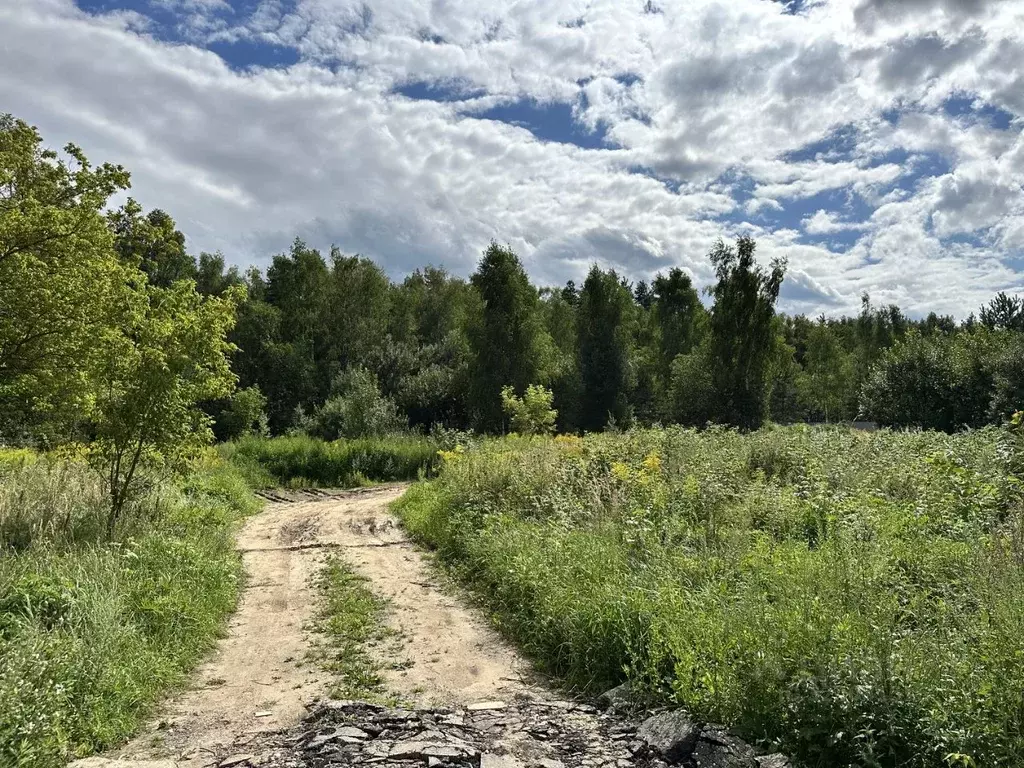 Участок в Московская область, Балашиха ш. Восточное, 110 (15.0 сот.) - Фото 2