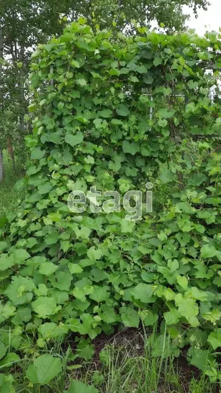 Участок в Тульская область, Ясногорский район, Ревякинское с/пос, № 55 ... - Фото 1