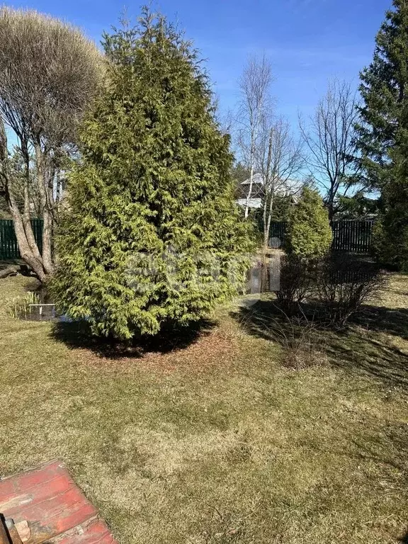 Участок в Санкт-Петербург, Санкт-Петербург, Сестрорецк Разлив СНТ, ... - Фото 2