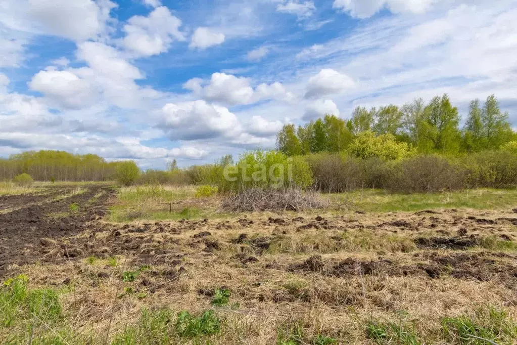 Участок в Тюменская область, Тюменский район, с. Борки  (13.9 сот.) - Фото 1