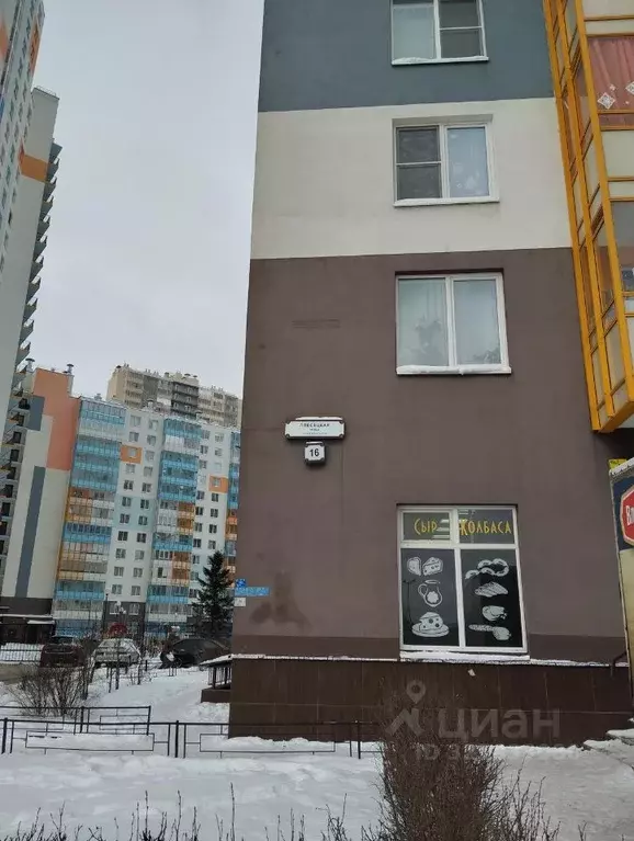 Студия Санкт-Петербург ул. Плесецкая, 16 (24.5 м) - Фото 2