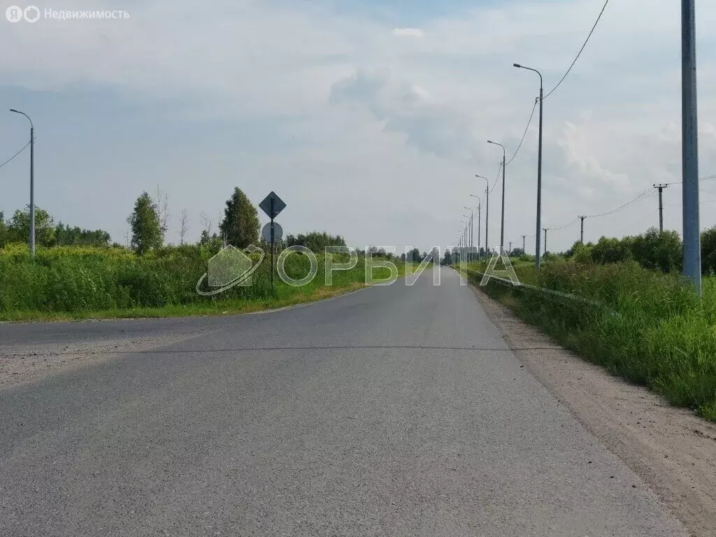 Участок в Тюмень, СНТ Царево, Пихтовая улица (10 м) - Фото 1