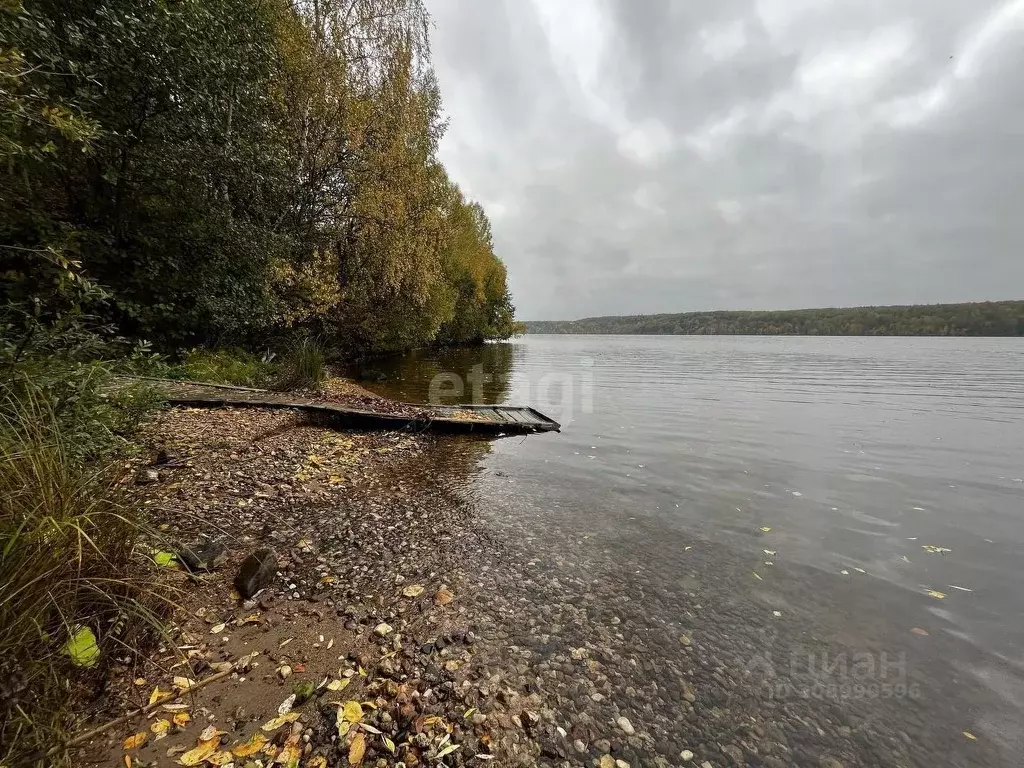 Участок в Костромская область, Красносельский район, Прискоковское ... - Фото 0