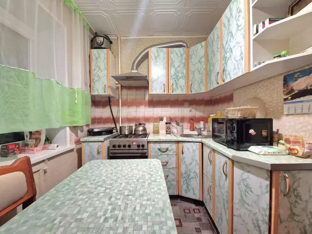 4-к кв. Челябинская область, Миасский городской округ, пос. Тургояк ... - Фото 2