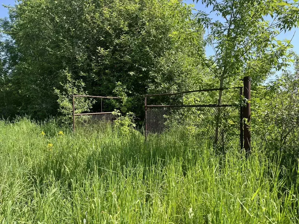 Участок в Московская область, Коломна городской округ, д. Бакунино ул. ... - Фото 1