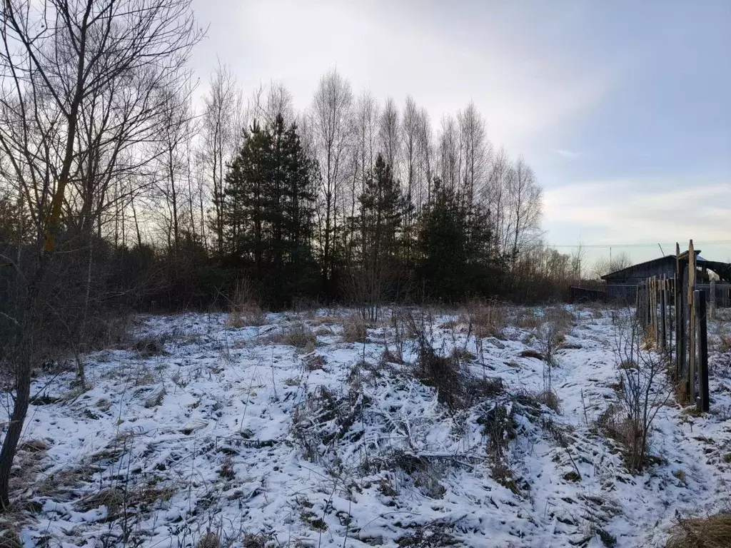 Участок в Московская область, Орехово-Зуевский городской округ, д. ... - Фото 2