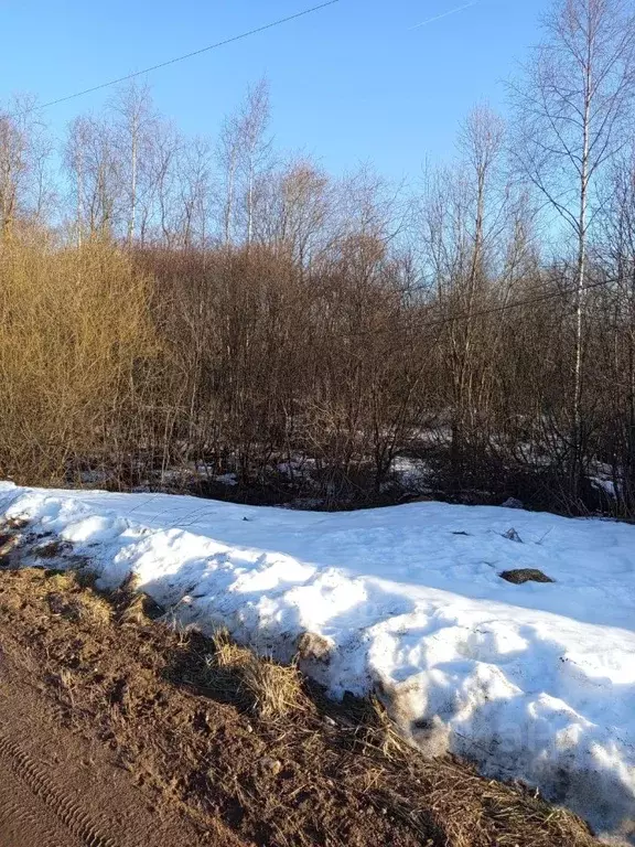 Участок в Новгородская область, Валдай Полевая ул. (15.0 сот.) - Фото 2