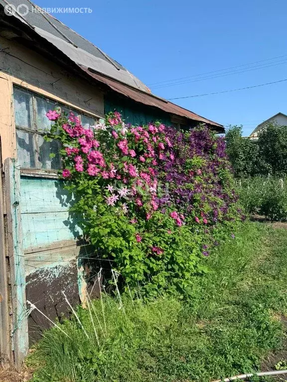 Дом в село Троицкое 2-е, 31 (51 м) - Фото 1