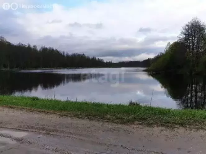 Дом в Рогнединский район, Шаровичское сельское поселение, деревня ... - Фото 1