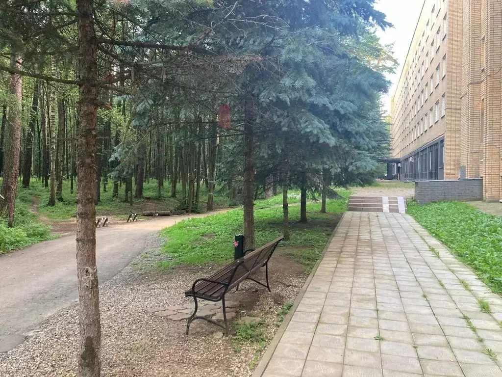Офис в Московская область, Ивантеевка Пушкинский городской округ, ... - Фото 0