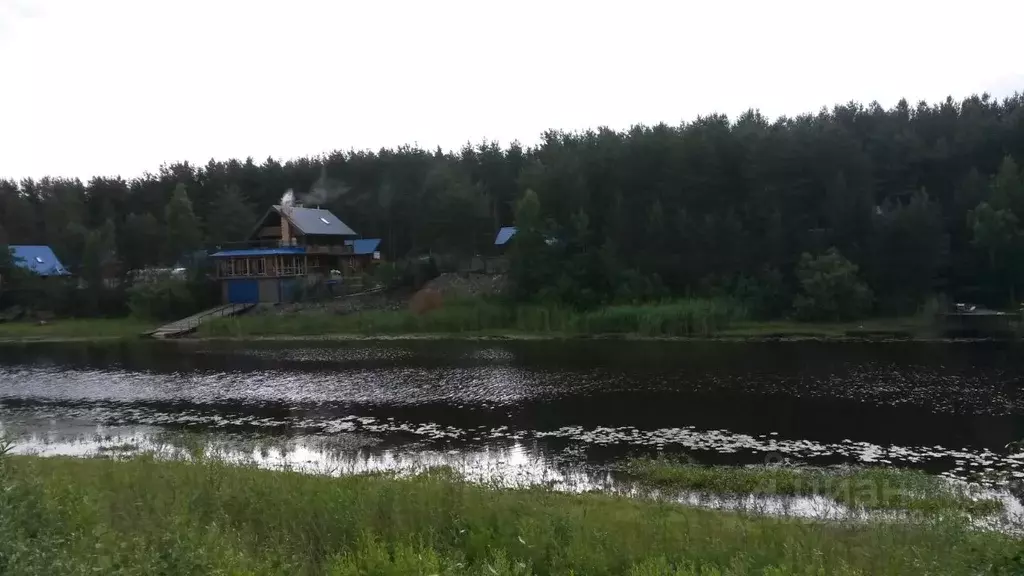 Участок в Ленинградская область, Волховский район, Иссадское с/пос, д. ... - Фото 2