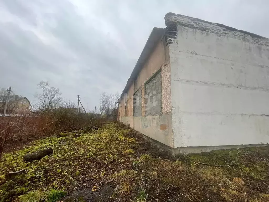 Помещение свободного назначения в Московская область, Орехово-Зуевский ... - Фото 1