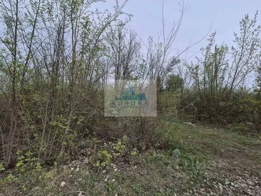 Участок в Саратовская область, Саратов ул. Жемчужная (6.0 сот.) - Фото 1