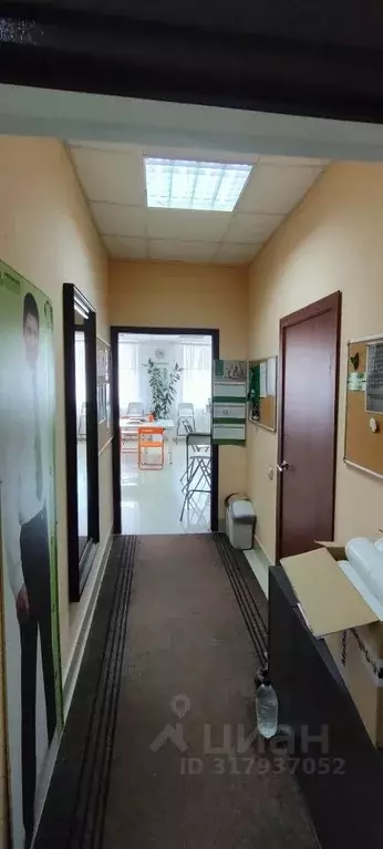 Офис в Новосибирская область, Новосибирск ул. Некрасова, 42 (41 м) - Фото 0