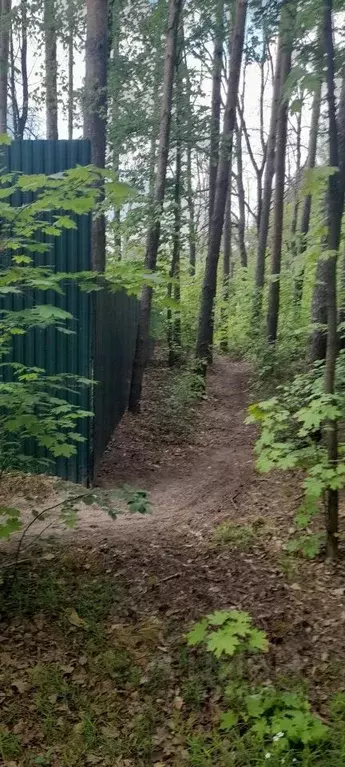 Участок в Тамбовская область, Тамбов городской округ, пос. Тригуляй, ... - Фото 1