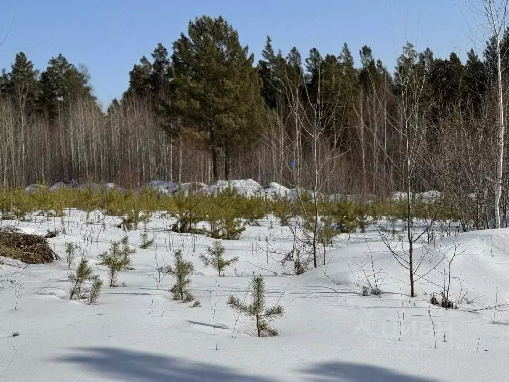 Участок в Иркутская область, Иркутский муниципальный округ, д. ... - Фото 1