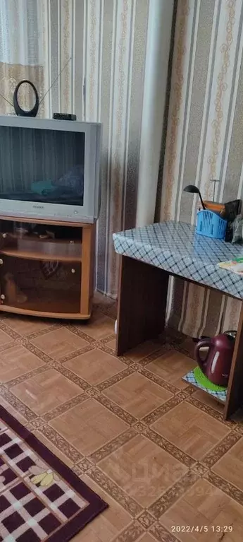 Студия Иркутская область, Усть-Илимск ул. Наймушина, 30 (18.0 м) - Фото 2