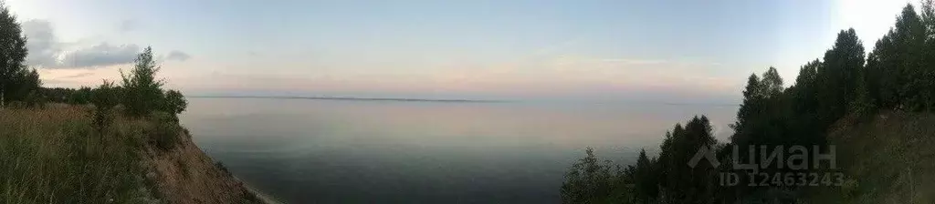 Участок в Нижегородская область, Чкаловск городской округ, д. Кулаево ... - Фото 0