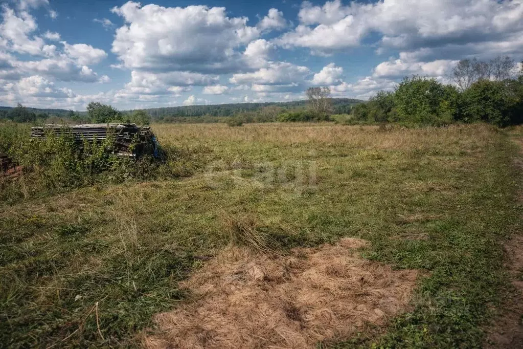 Участок в Новосибирская область, Маслянинский район, д. Новолушниково ... - Фото 1