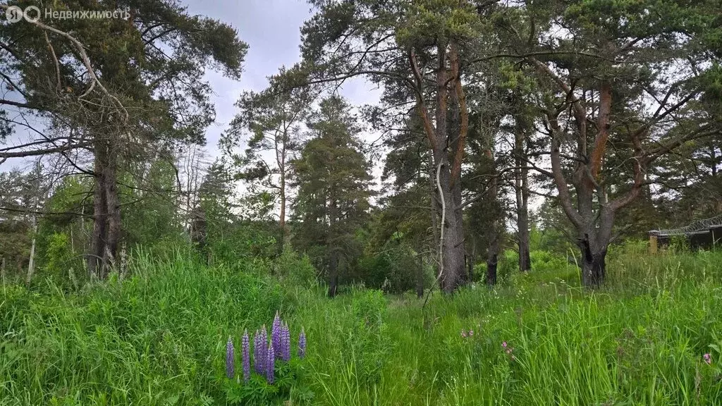 Дом в Выборгский район, Первомайское сельское поселение, посёлок ... - Фото 1