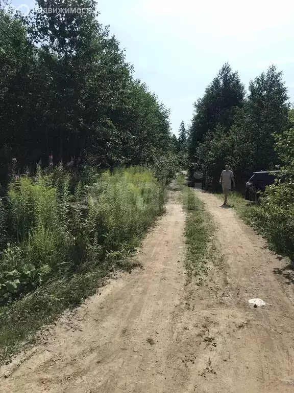Участок в Сосновый Бор, коттеджный посёлок Балтийское, 2-я улица (10 ... - Фото 2