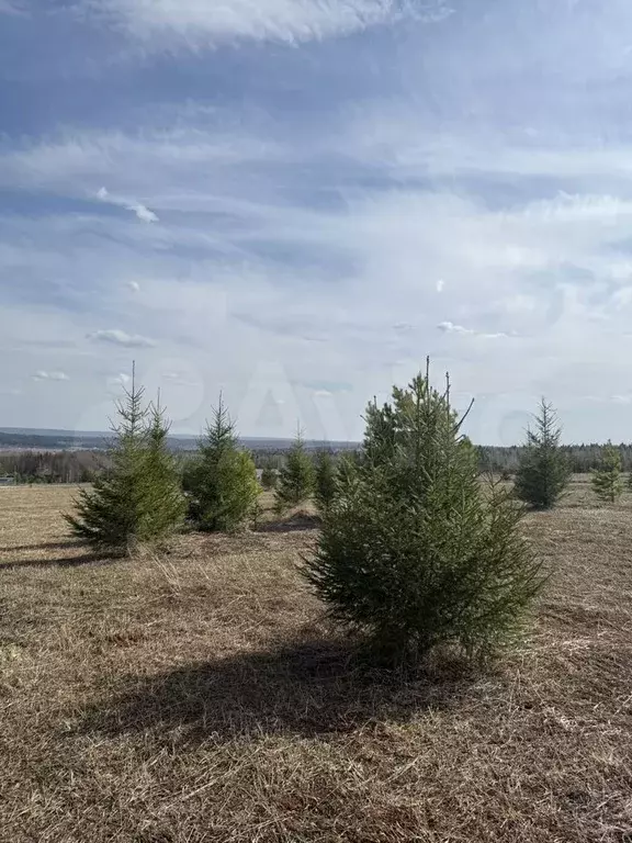 Участок 6,2 сот. (ИЖС) - Фото 1