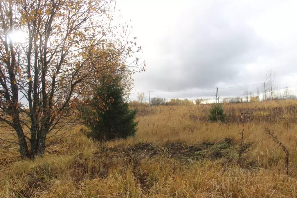 Участок в Московская область, Шаховская муниципальный округ, д. ... - Фото 1