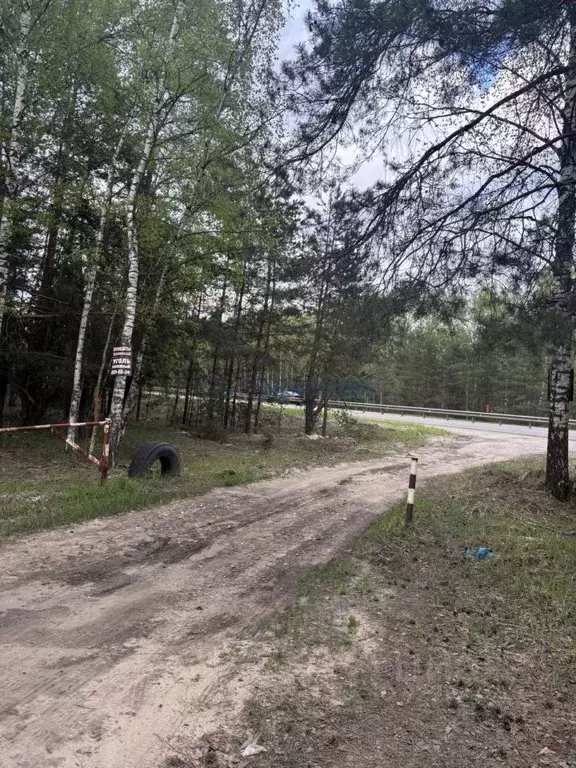 Участок в Нижегородская область, Нижний Новгород Мечта СНТ, 46 (8210.0 ... - Фото 2