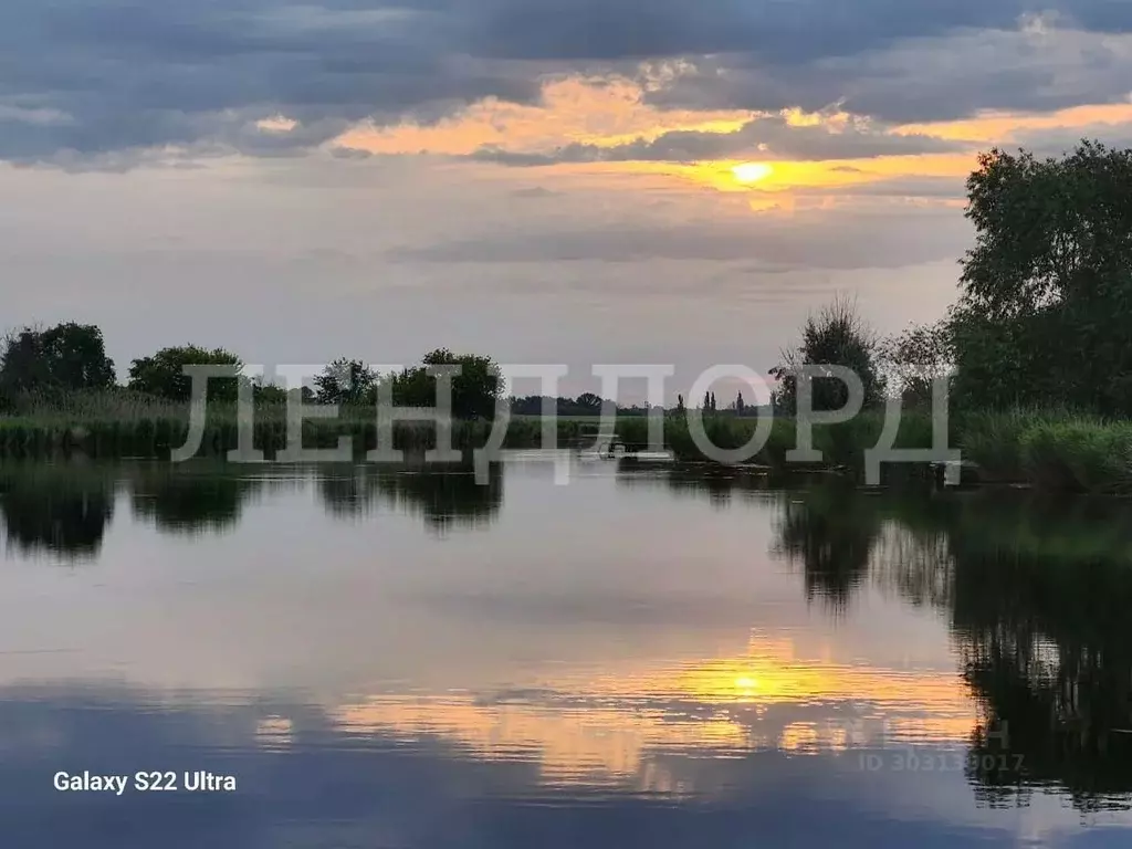 Участок в Ростовская область, Азовский район, с. Самарское, Южный мкр ... - Фото 1